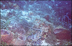 05_Delilah_Wall-09.jpg