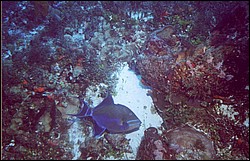 05_Delilah_Wall-11.jpg