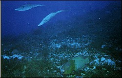 05_Delilah_Wall-12.jpg