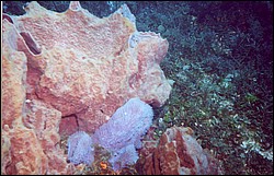 05_Delilah_Wall-16.jpg