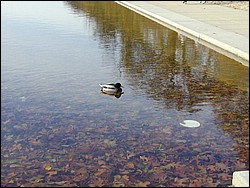 Image048.jpg