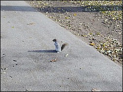 Image051.jpg