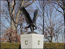 Image081.jpg