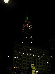 zImage059.jpg