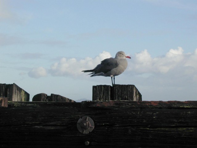 Image046.jpg