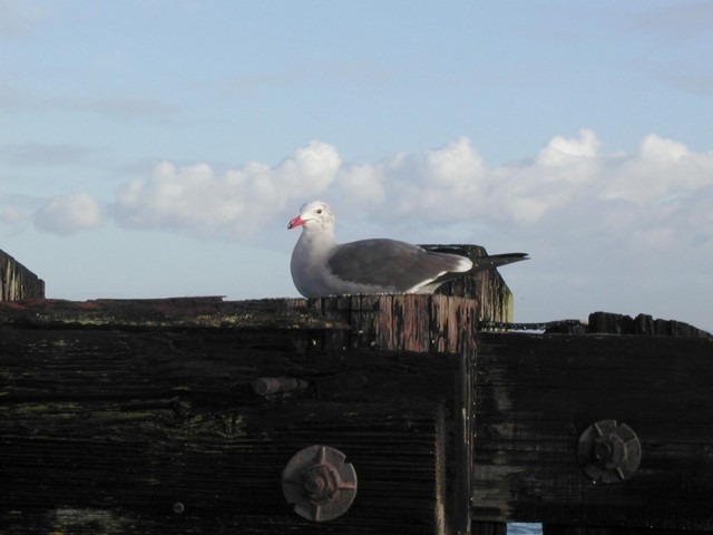 Image047.jpg