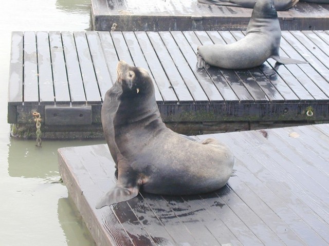 Image048.jpg