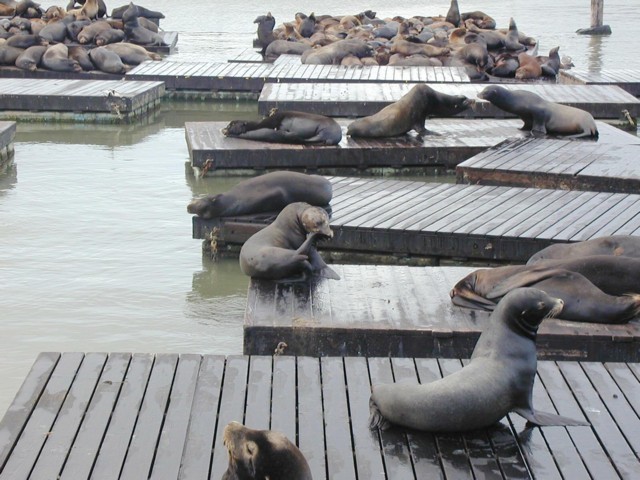 Image049.jpg