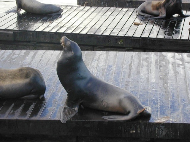 Image055.jpg