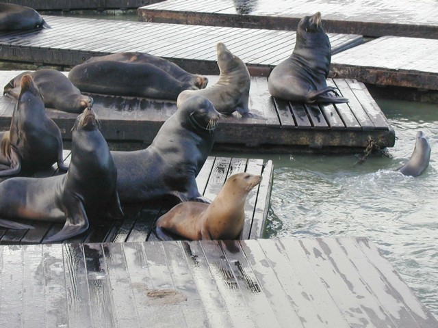 Image059.jpg