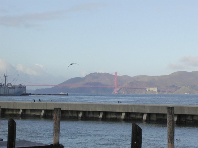 Image060.jpg