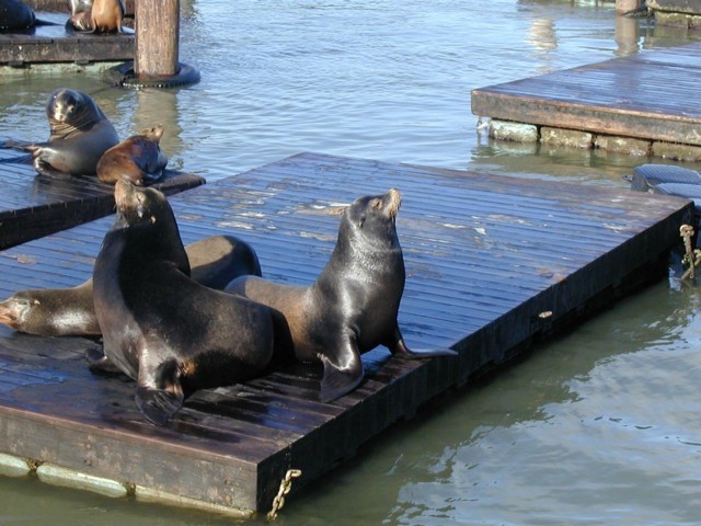 Image064.jpg