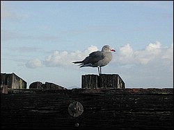 Image046.jpg