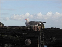 Image047.jpg