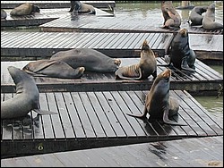 Image050.jpg
