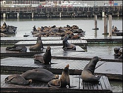 Image051.jpg