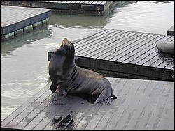 Image053.jpg