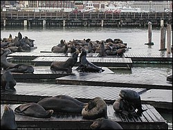 Image054.jpg