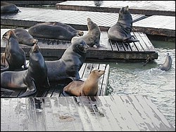 Image059.jpg
