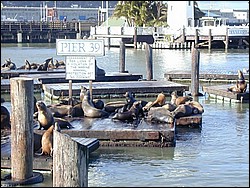 Image063.jpg