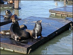 Image064.jpg