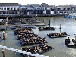 Image065.jpg