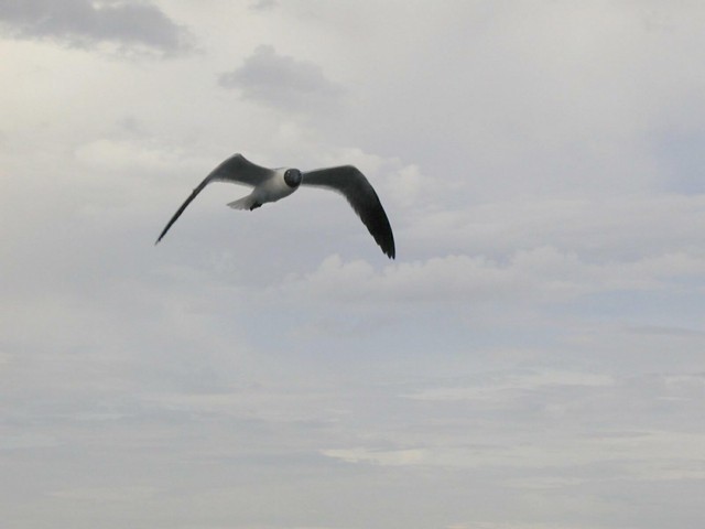 5900_03.jpg