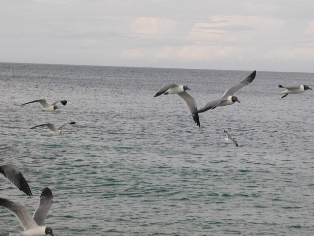 5900_04.jpg