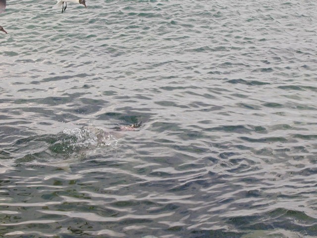 5900_05.jpg