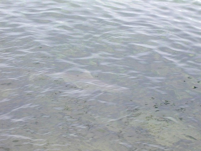 5900_08.jpg