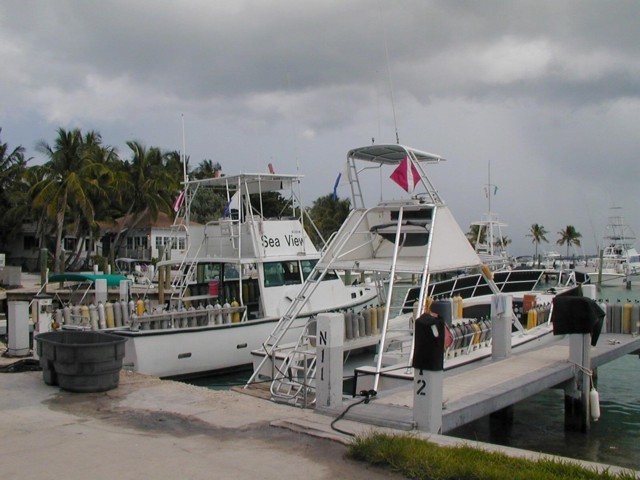 5900_17.jpg