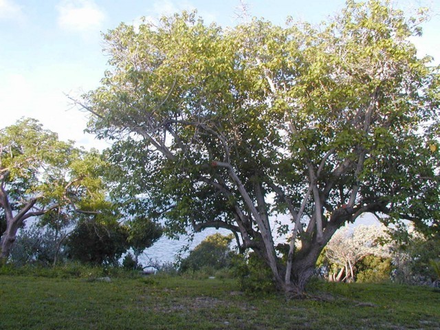 5900_22.jpg