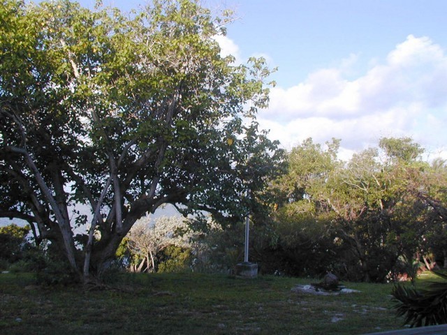 5900_23.jpg