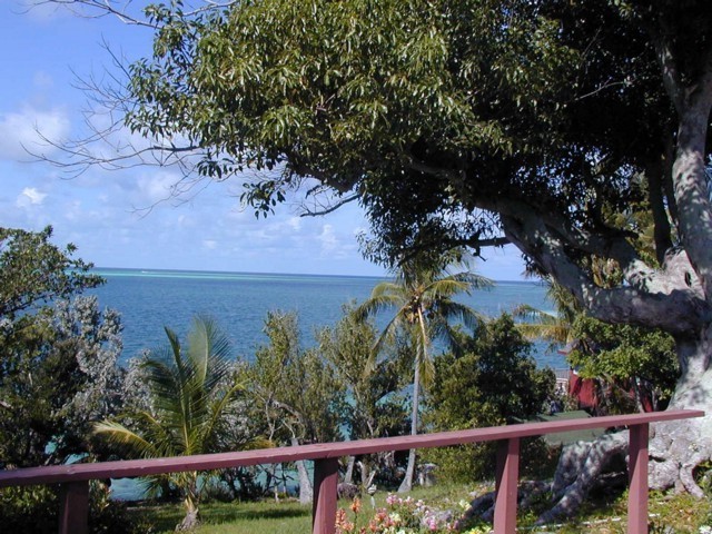 5900_29.jpg