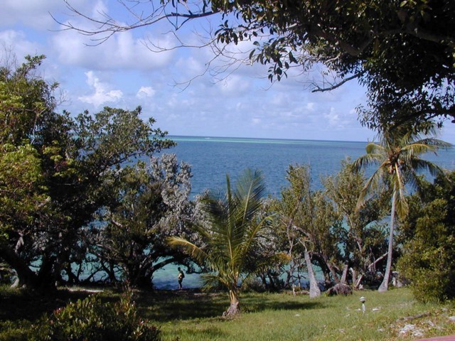 5900_30.jpg