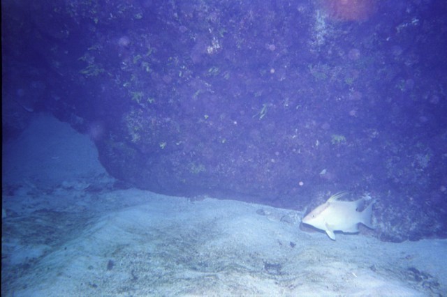 5938_01a.jpg