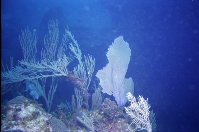 5938_02a.jpg