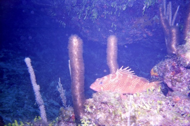 5938_05a.jpg