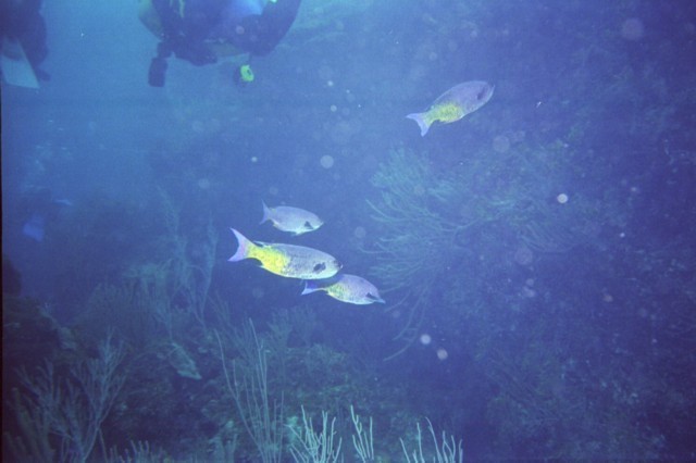 5938_06a.jpg