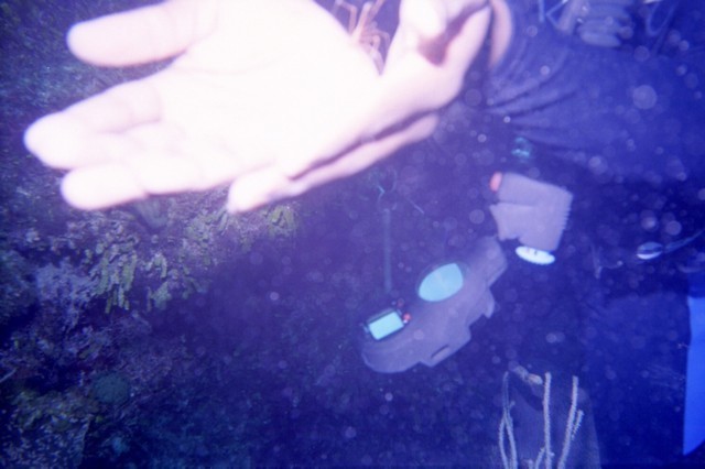 5938_11a.jpg