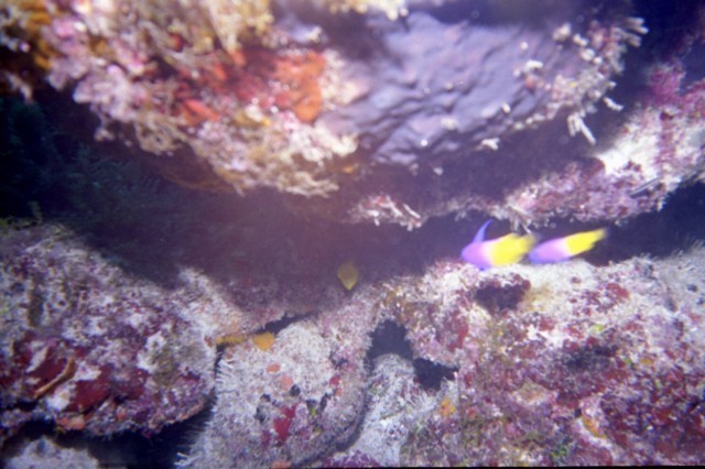 5938_12a.jpg