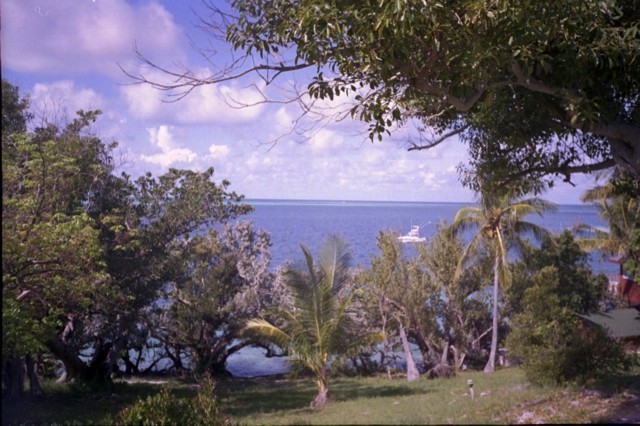 5938_20a.jpg