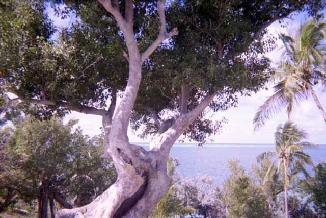 5939_05a.jpg