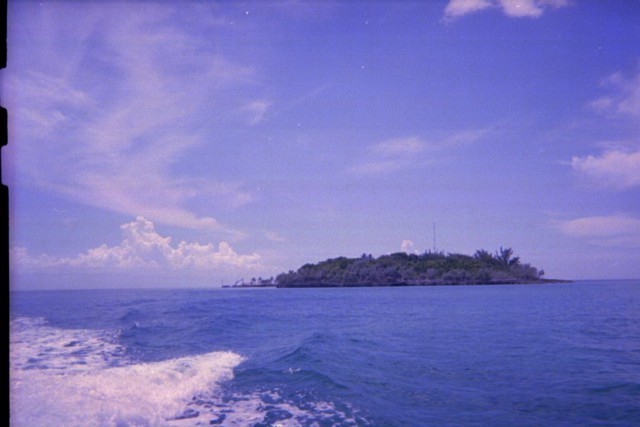 5939_10a.jpg