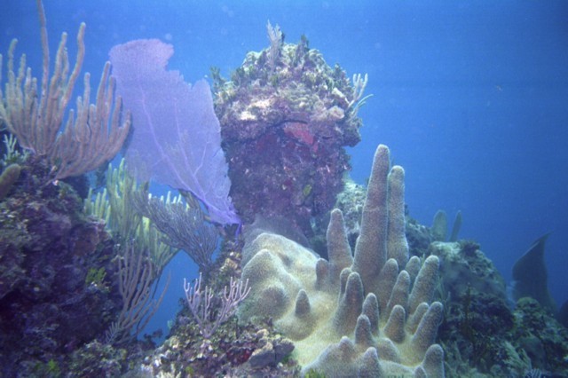 5940_06.jpg