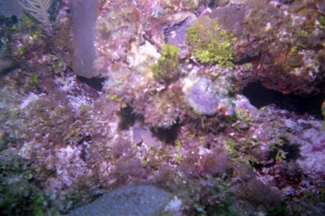 5940_08.jpg