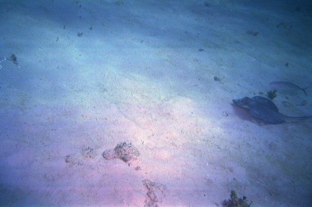 5940_12.jpg