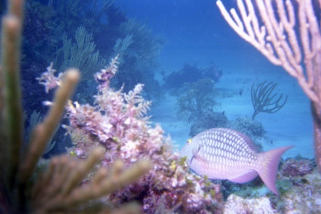 5940_13.jpg