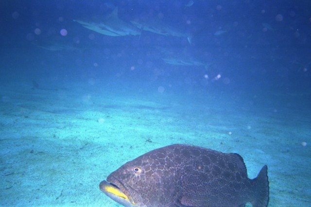 5940_14.jpg
