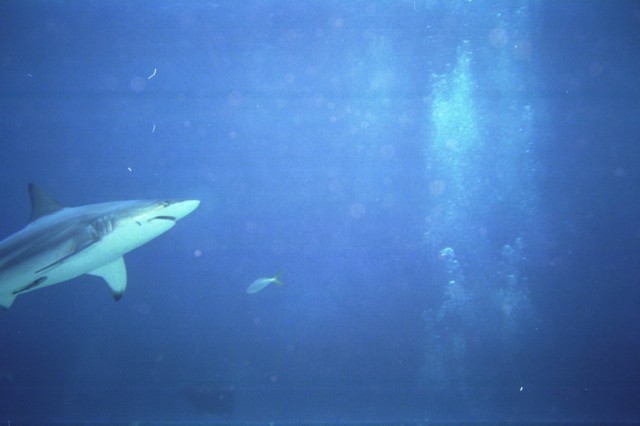 5940_17.jpg